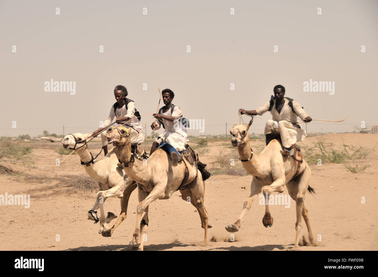 Port Soudan, Beja camel race Banque D'Images
