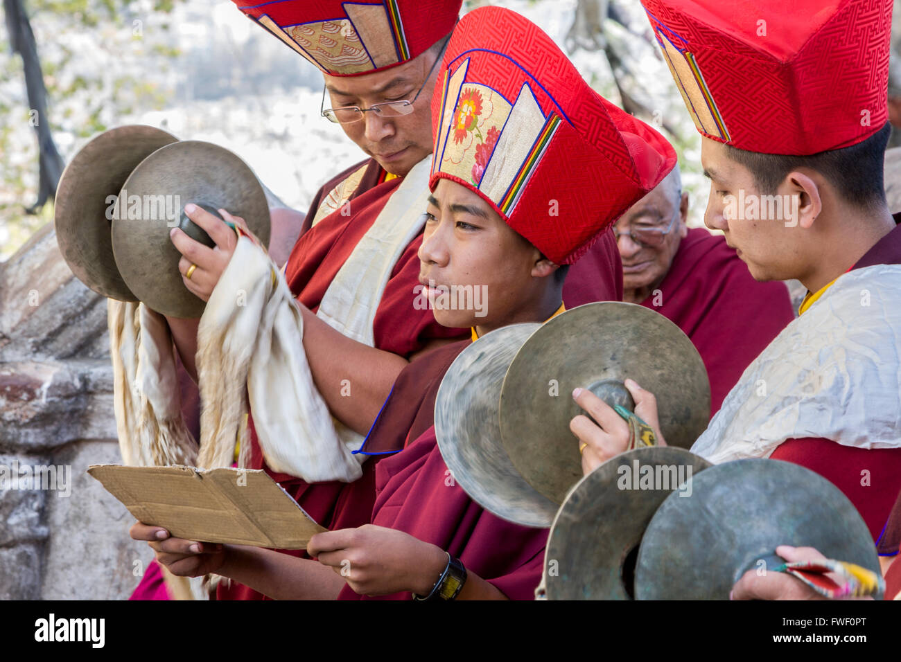 Le Népal, Katmandou, Swayambhunath. Moines bouddhistes tibétains jouant des cymbales lors d'une cérémonie. Banque D'Images