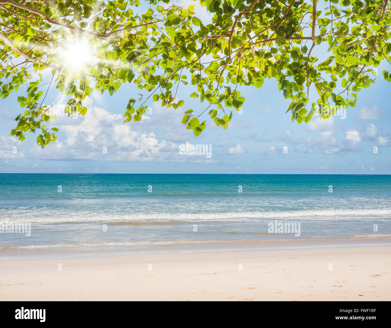 L'été et travel concept, mer bleue et vert feuille avec plage de sable blanc et le fond de ciel , peut être utilisé pour l'affichage ou un montage yo Banque D'Images