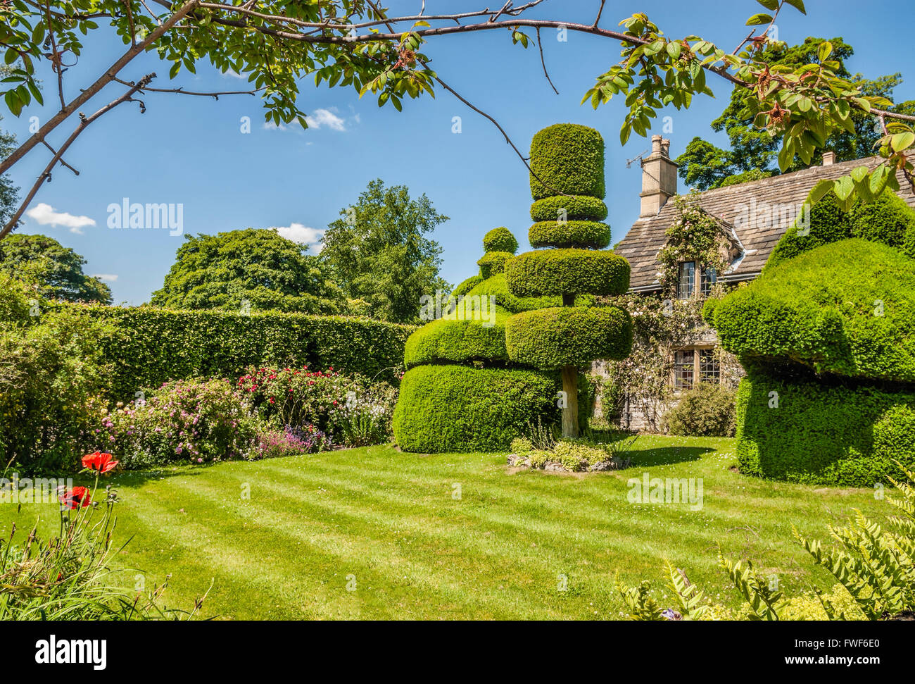 Boxtree jardin au château Norman Haddon Hall près de Bakewell, Derbyshire, Angleterre, RU Banque D'Images