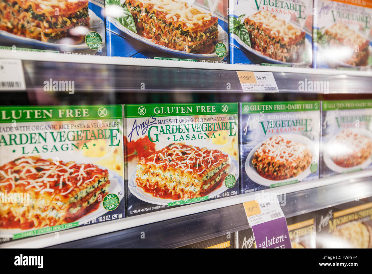 Boîtes d'Amy, sans gluten, lasagne congelée affiché sur des étagères dans le cas congelé à un magasin d'aliments naturels Banque D'Images