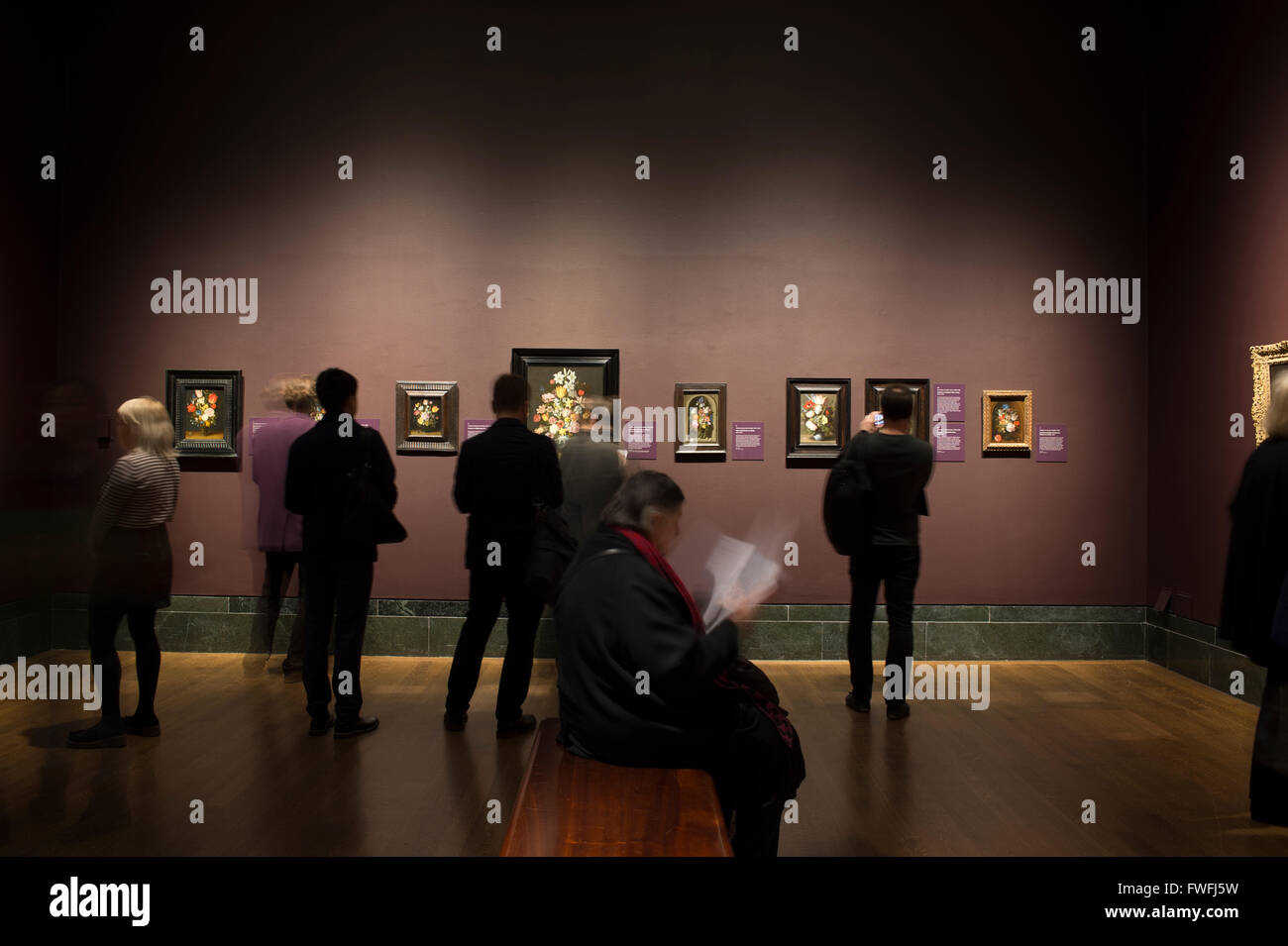 National Gallery, Londres, Royaume-Uni. 5 avril, 2016. Coïncidant avec le Chelsea Flower Show, cette exposition explore la peinture fleurs à partir de la 17e à la fin du xviiie siècle. Credit : artsimages/Alamy Live News Banque D'Images