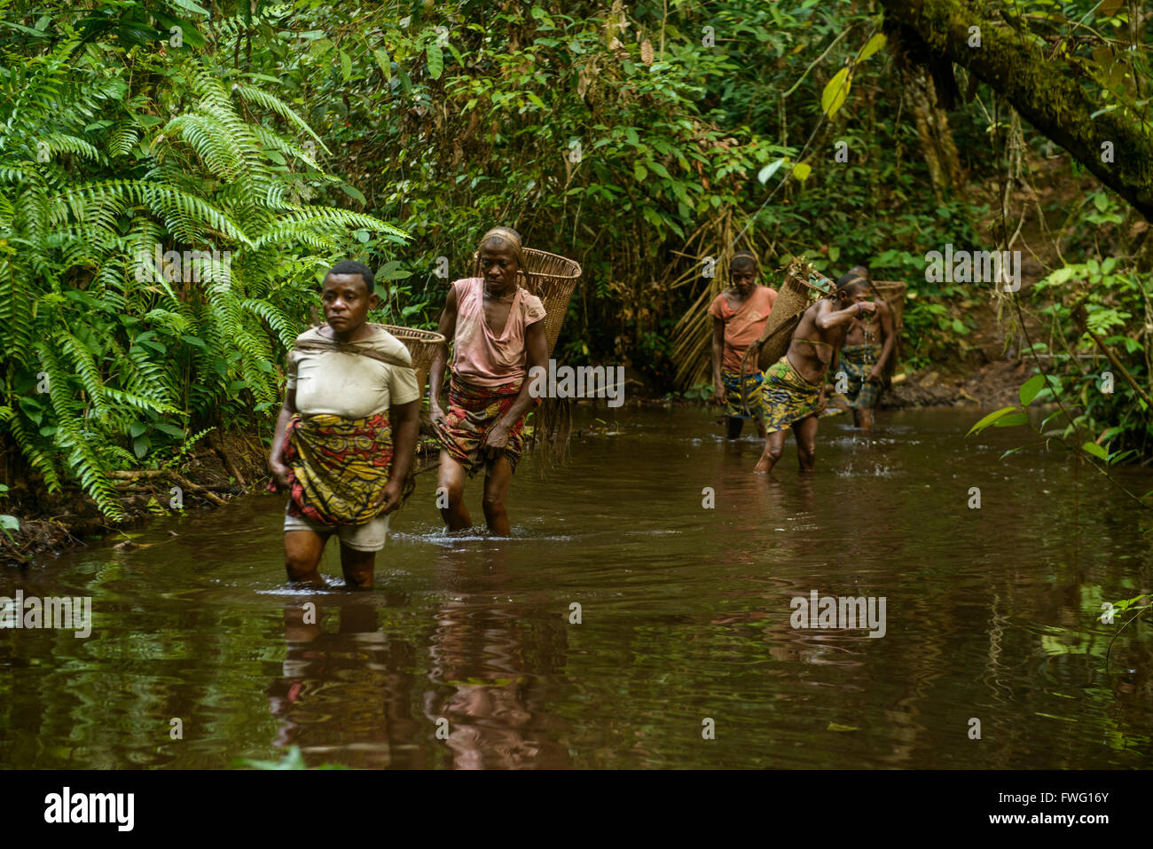 Les Pygmées Bayaka Dans La Forêt équatoriale République Centrafricaine