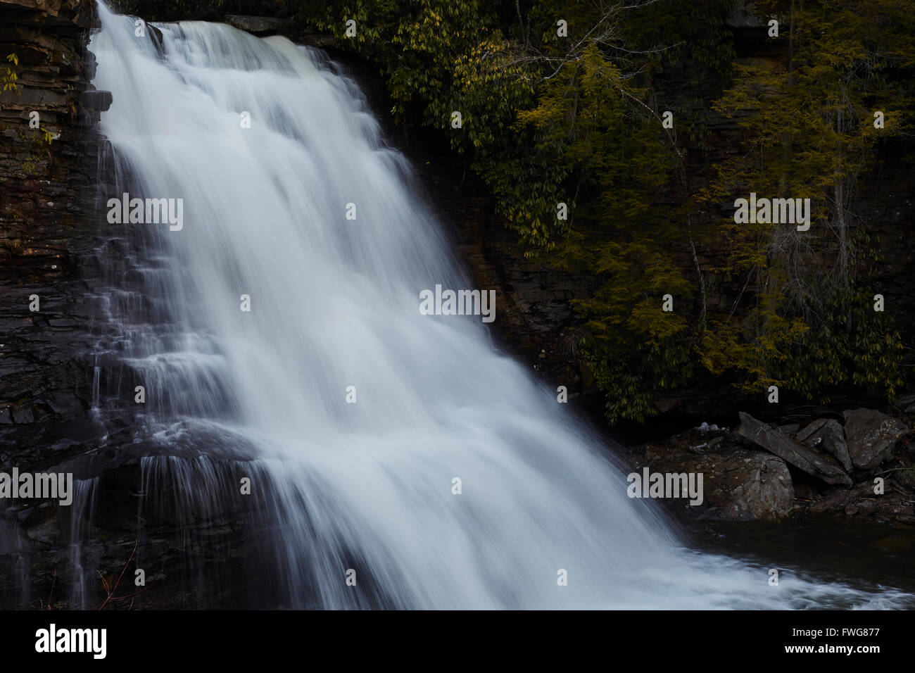 Muddy Creek Falls, Swallow Falls State Park, Oakland, Maryland, États-Unis Banque D'Images