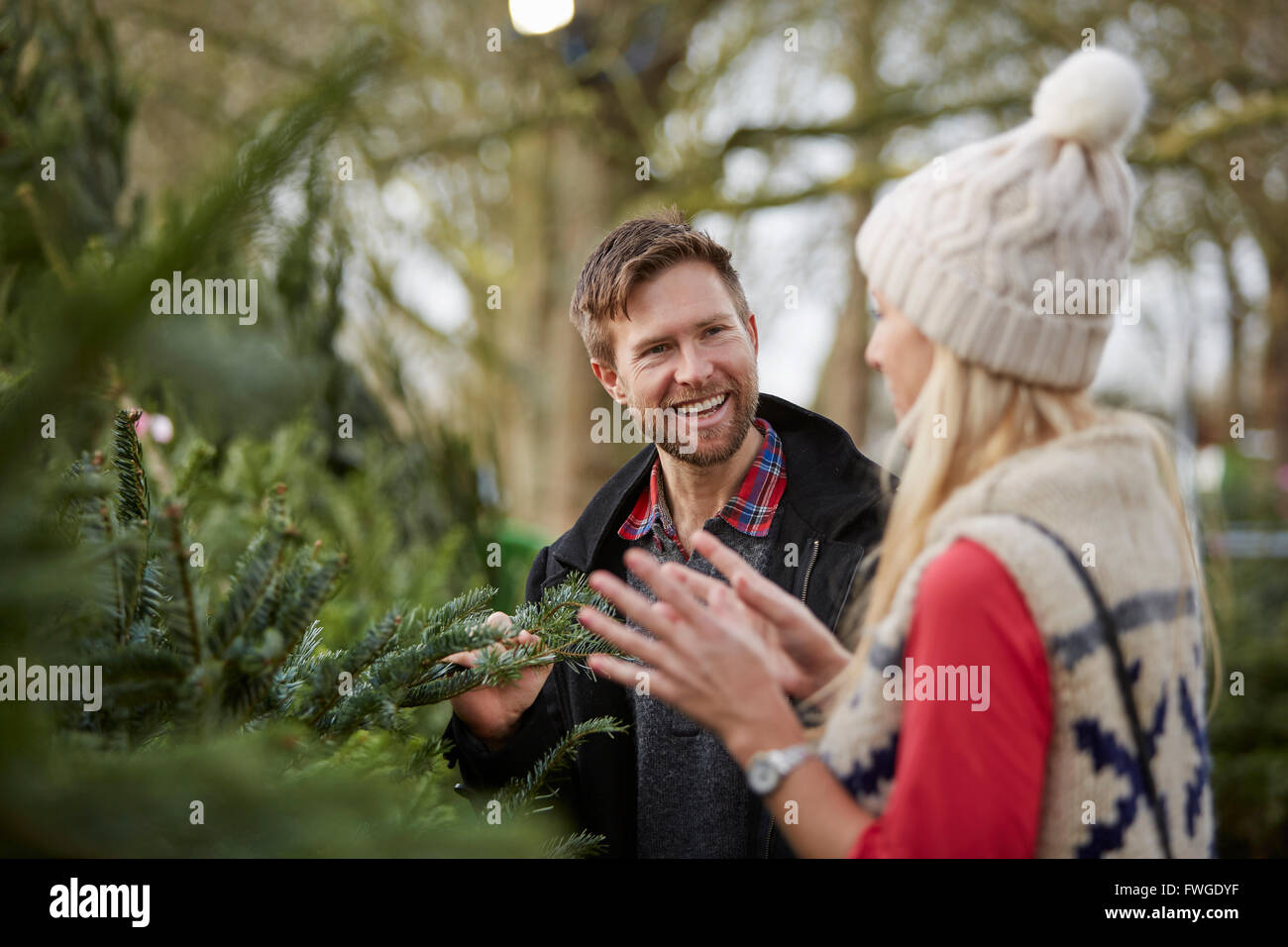 Un homme et une femme la discussion et le choix d'un traditionnel pin arbre, arbre de Noël. Banque D'Images