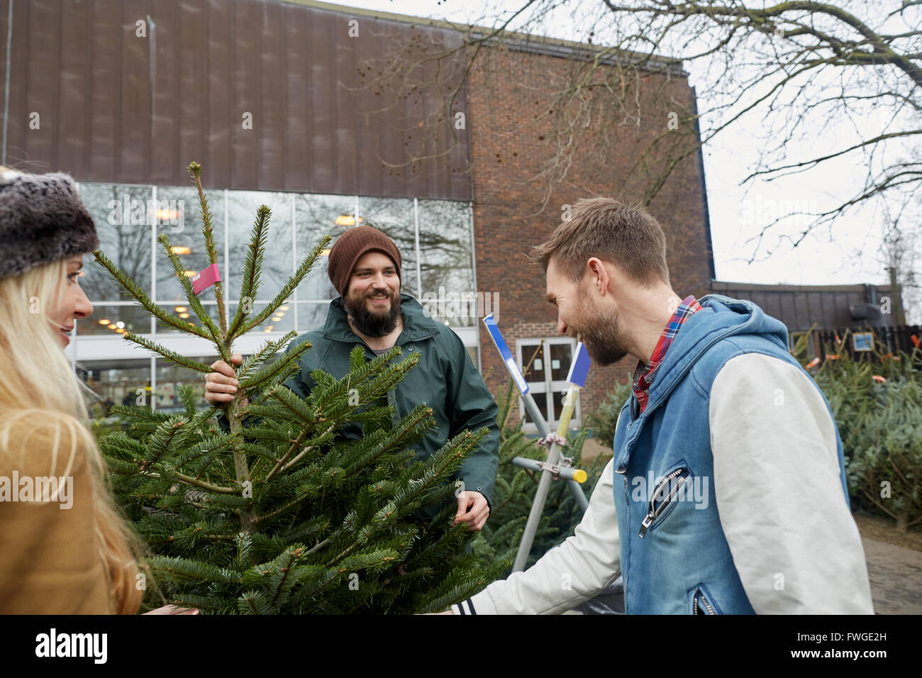 Deux membres du personnel et d'une femme à la recherche de clients dans un grand arbre de Noël. Banque D'Images
