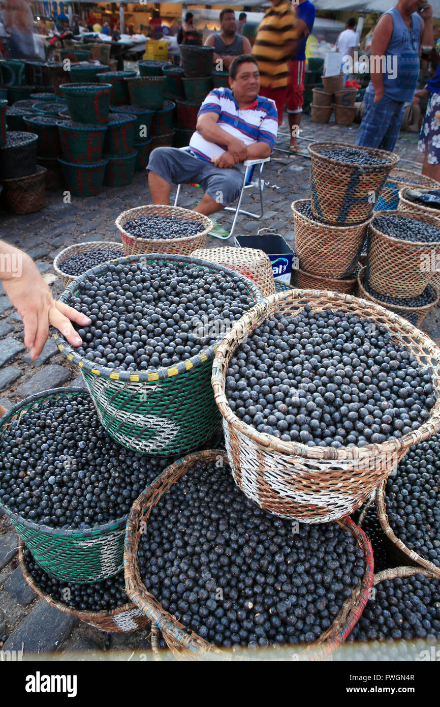 Les baies d'Acai à vendre dans le marché du matin, Belem, Para, Brésil, Amérique du Sud Banque D'Images