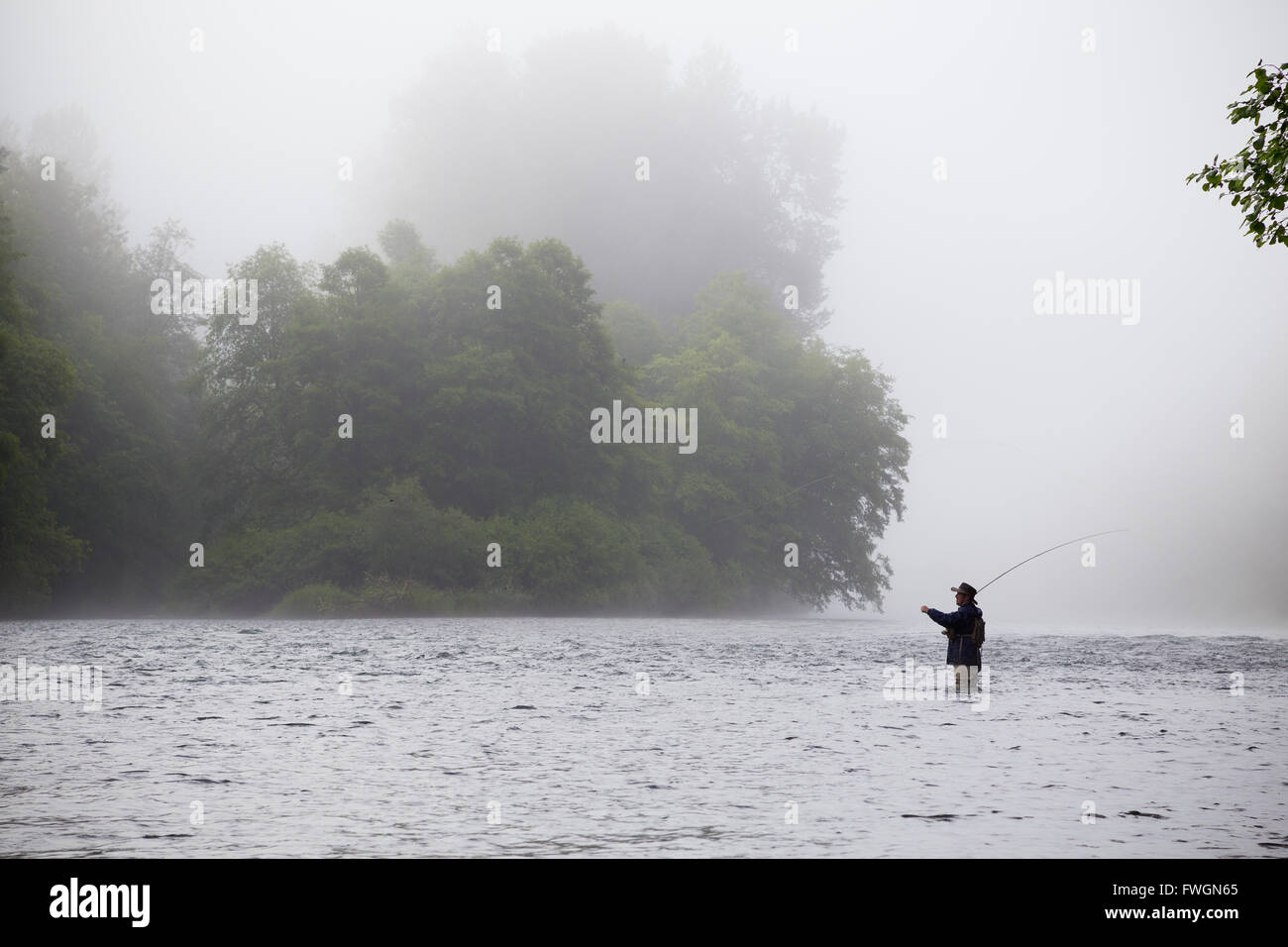 Un moucheur se trouve dans l'eau et jette une line out tout en essayant d'attraper la truite arc-en-ciel dans le nord-ouest du Pacifique. Cette mouche fisherm Banque D'Images