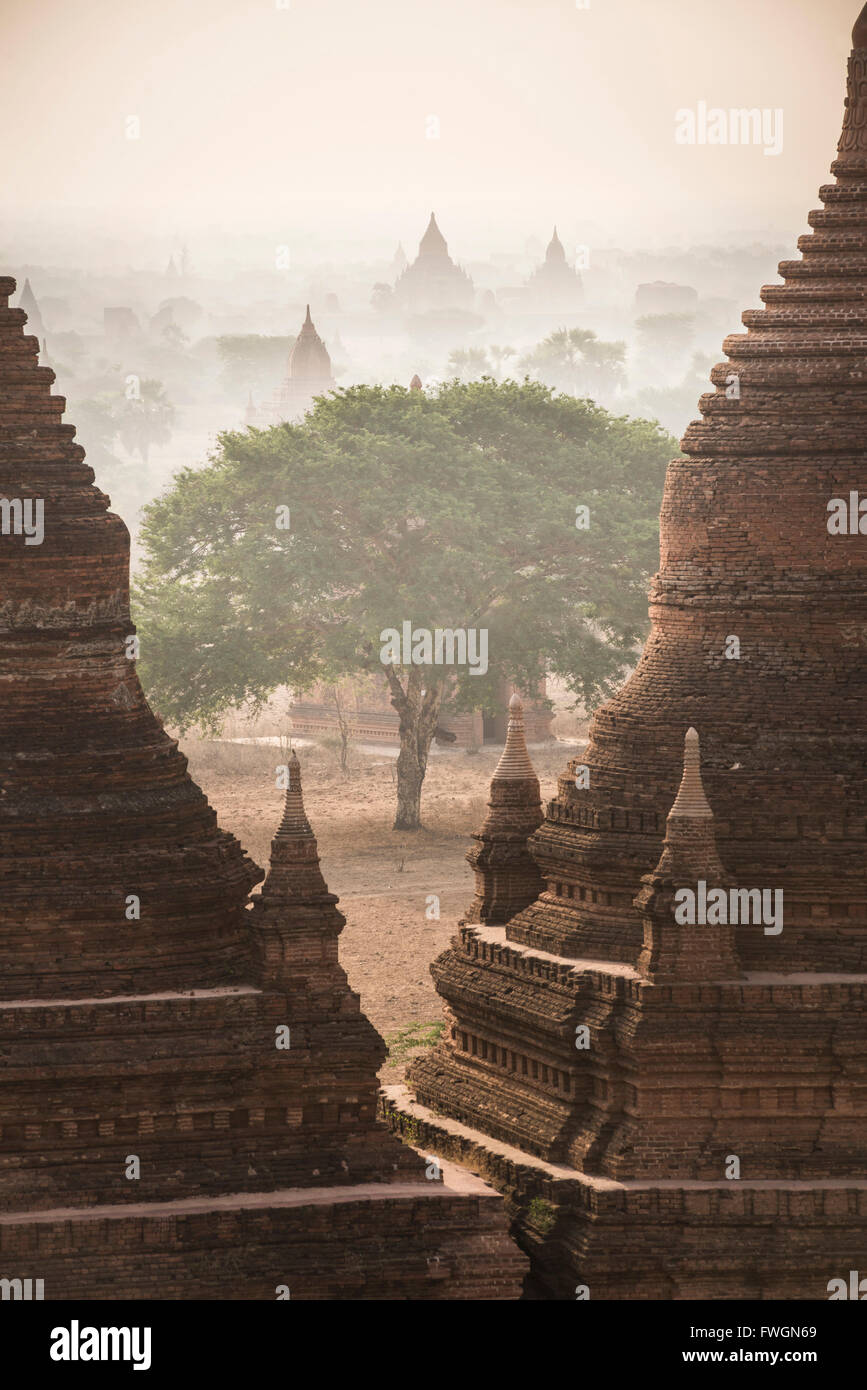 Lever du soleil sur les temples de Bagan (Pagan), le Myanmar (Birmanie), l'Asie Banque D'Images