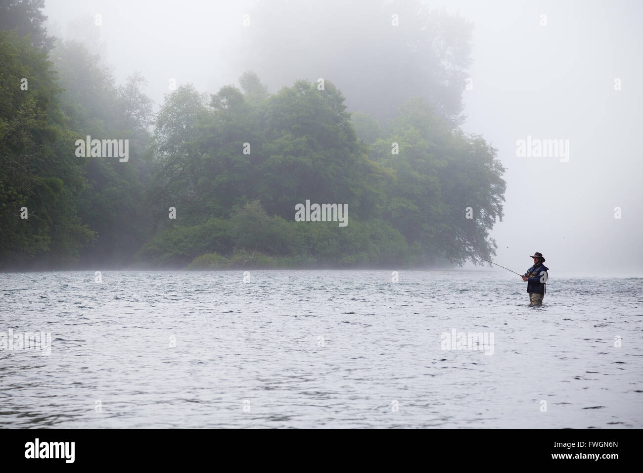 Un moucheur se trouve dans l'eau et jette une line out tout en essayant d'attraper la truite arc-en-ciel dans le nord-ouest du Pacifique. Cette mouche fisherm Banque D'Images