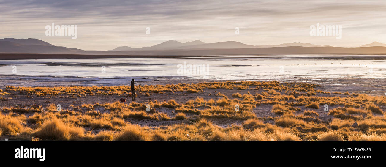 Photographe de prendre une photo au lever du soleil à Chalviri Salt Flats (Salar de Chalviri), de l'Altiplano Bolivie, Amérique du Sud Banque D'Images