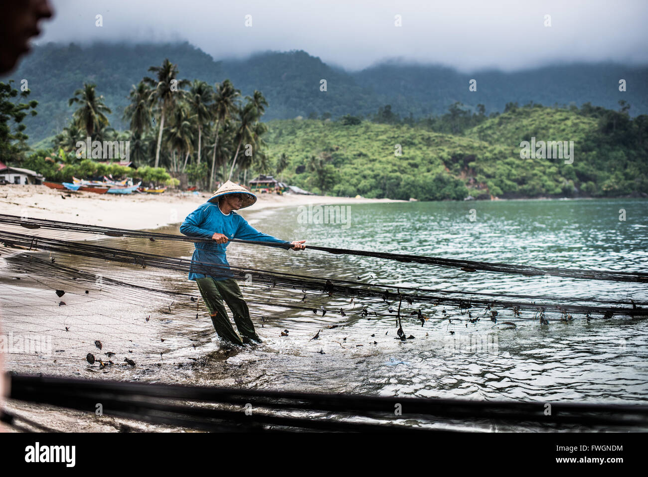 Tirant dans les filets de pêche, Sungai Pinang, Sumatra, Indonésie, Asie du sud-est Banque D'Images