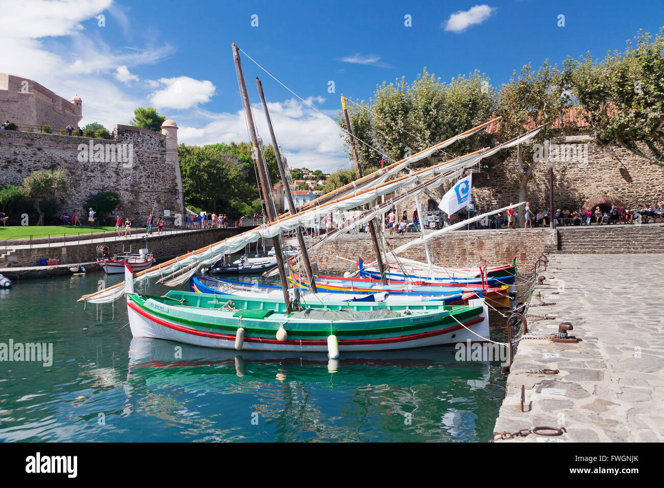 Les bateaux de pêche traditionnels au port, château forteresse royale, Collioure, Pyrénées-Orientales, Languedoc-Roussillon, France Banque D'Images
