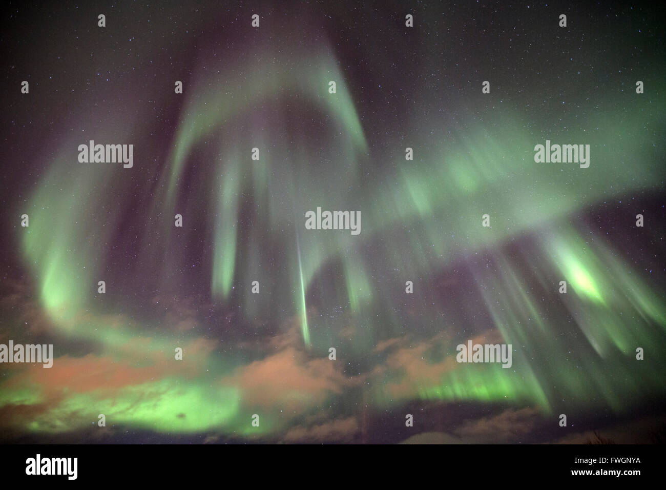 Les formes de feu vert des aurores boréales la couleur du ciel, Alpes de Lyngen, Troms, Laponie, Finlande, Scandinavie, Europe Banque D'Images
