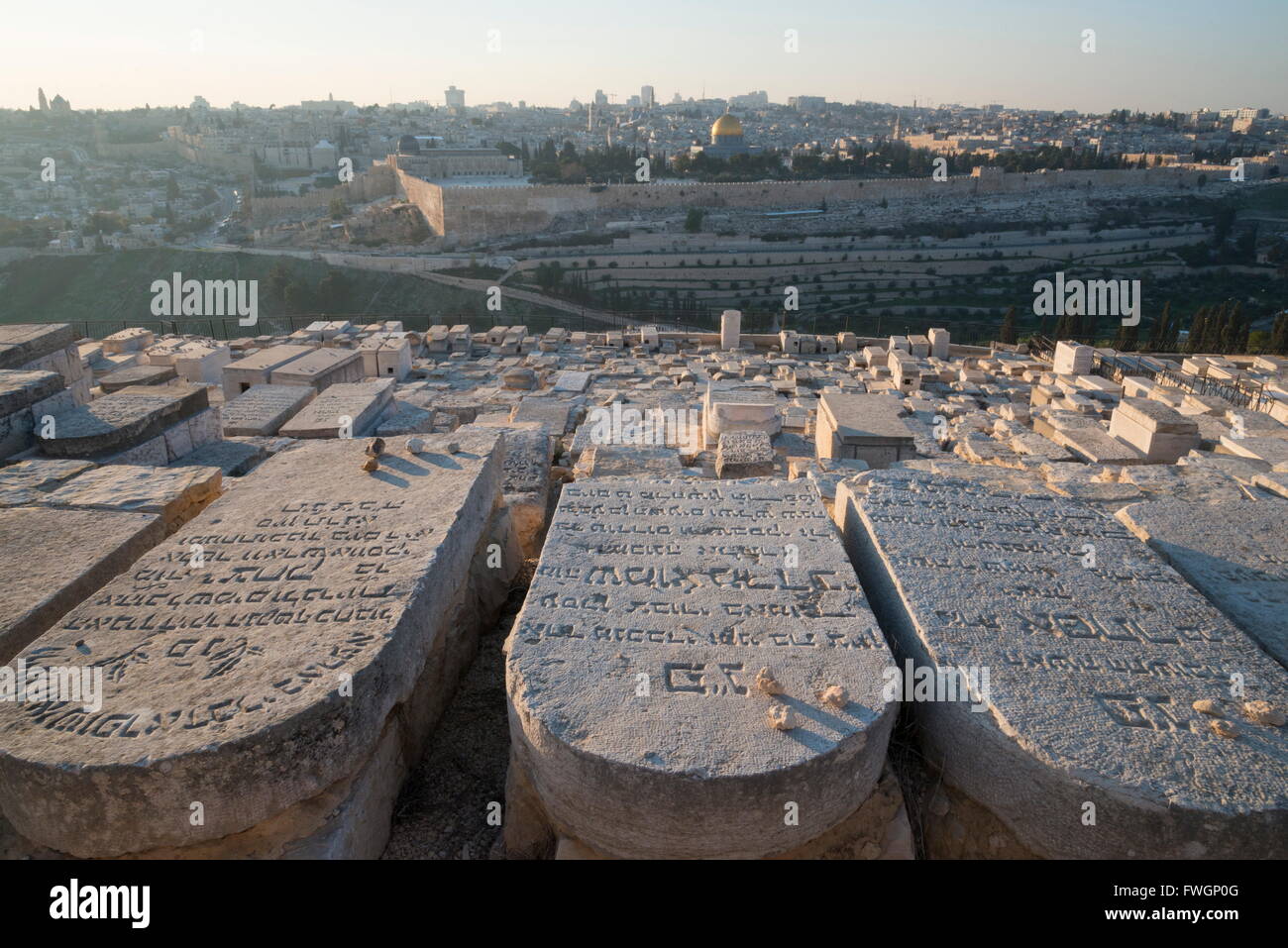 Les pierres tombales sur le Mont des Oliviers avec la vieille ville en arrière-plan, Jérusalem, Israël, Moyen Orient Banque D'Images