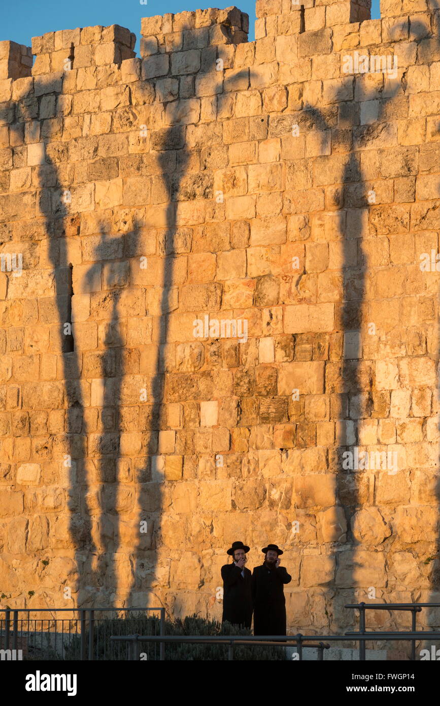 Deux Jewsh orthodoxe avec palm tree shadows en arrière-plan le long des murs de la vieille ville, Vieille Ville de Jérusalem, Israël, Moyen Orient Banque D'Images