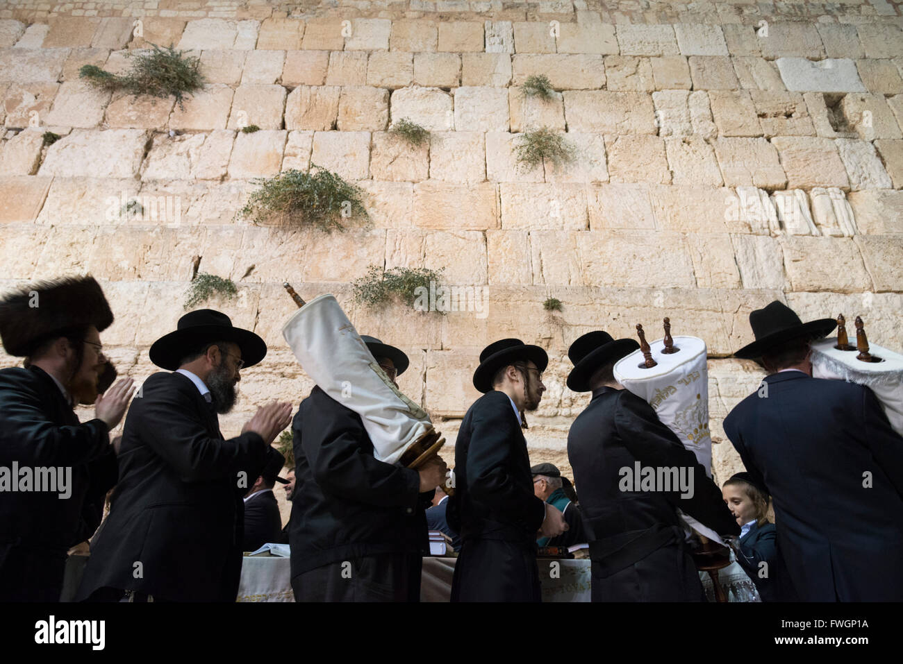 Les Juifs orthodoxes danse avec rouleaux de la Torah pendant Simhat Tora festival, Mur occidental, vieille ville de Jérusalem, Israël, Moyen Orient Banque D'Images