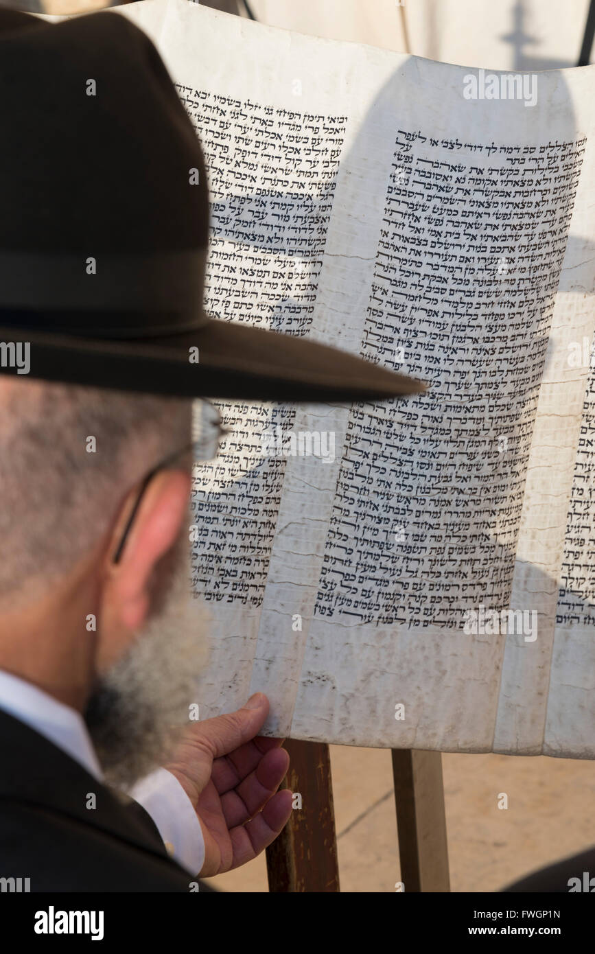 Juif de la lecture d'un rouleau de Torah, Mur occidental, vieille ville de Jérusalem, Israël, Moyen Orient Banque D'Images