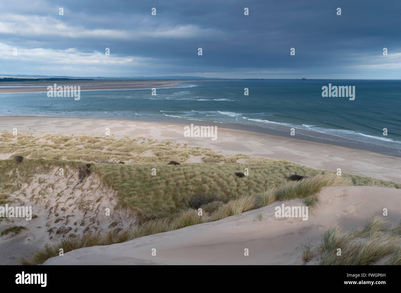 Une vue de Budle Bay, Northumberland, Angleterre, Royaume-Uni, Europe Banque D'Images