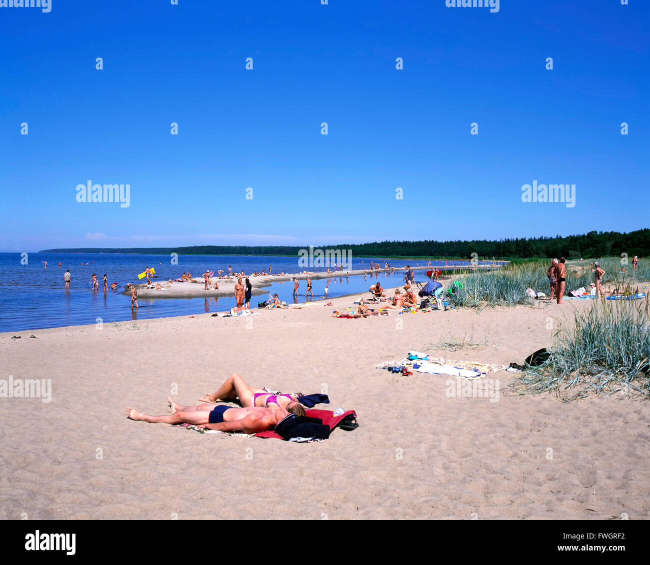 Le parc national de Lahemaa, Voesu beach, l'Estonie, Europe Banque D'Images