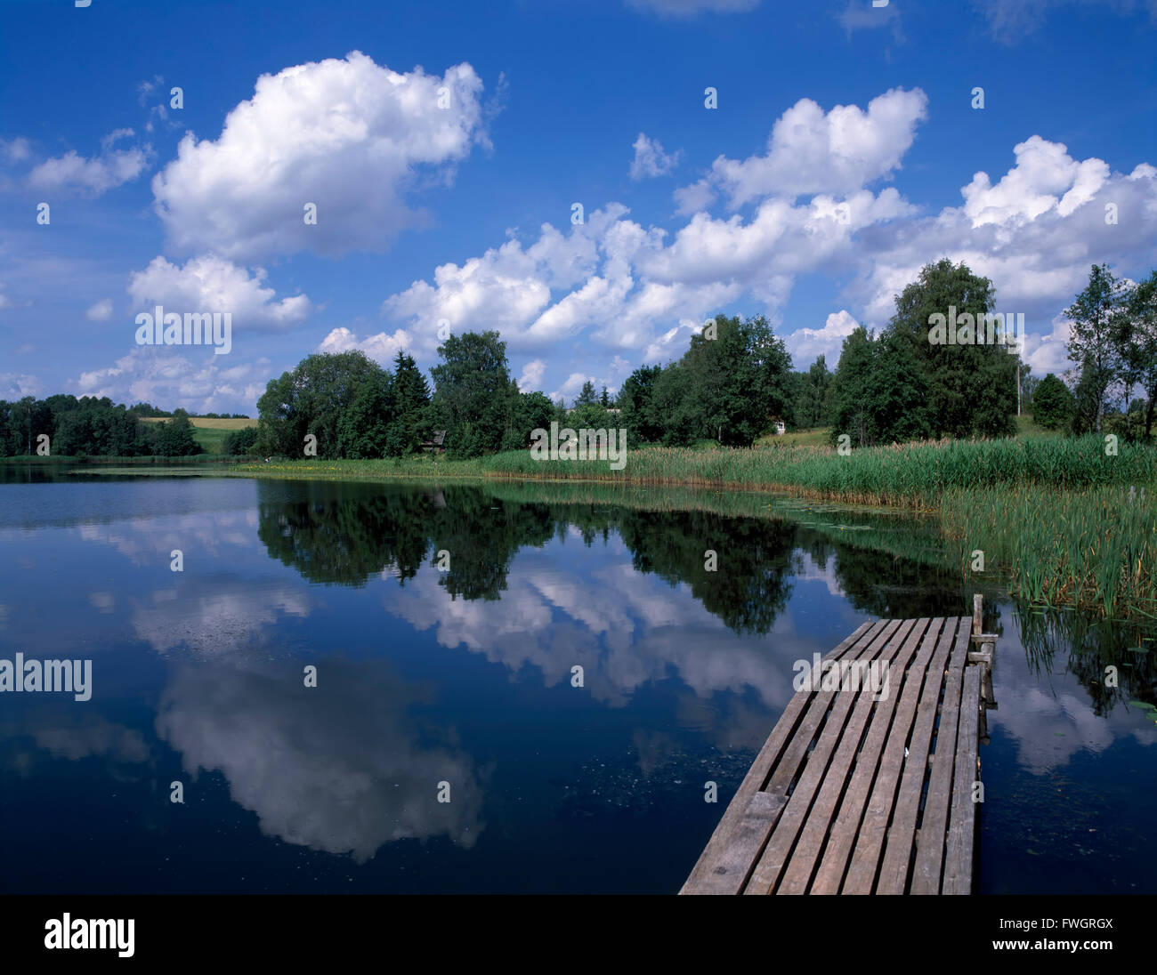 Lac Pühajärv près d'Otepää, en Estonie, Europe Banque D'Images
