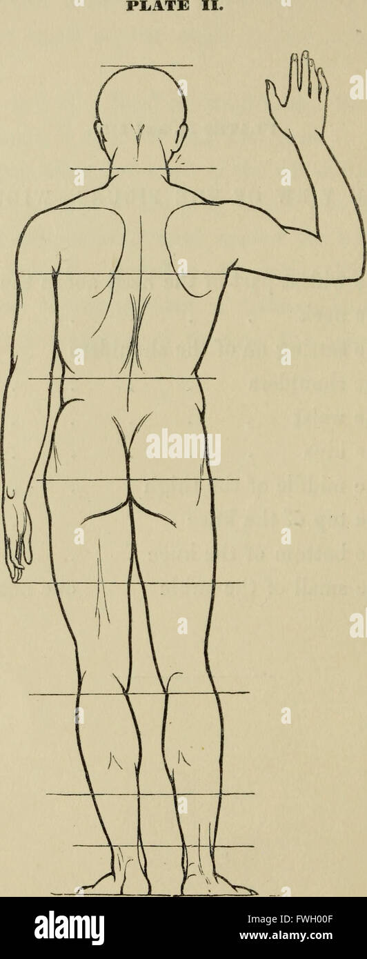 L'art de la figure schéma - contenant des instructions pratiques pour un cours d'étude dans cette branche de l'art (1852) Banque D'Images