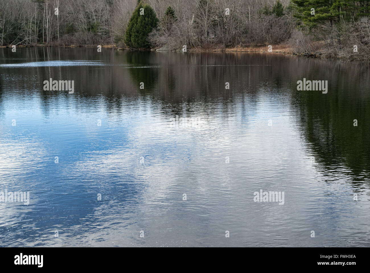 La surface du lac Megunticook dans Camden Maine avec ondulation de douces vagues et des réflexions d'arbres et ciel bleu plus dans la forêt Banque D'Images