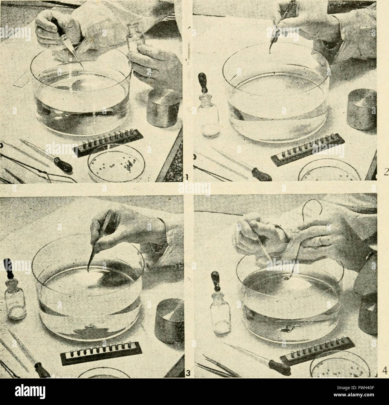 Le microscope électronique, son développement, le rendement actuel et les possibilités futures (1948) Banque D'Images
