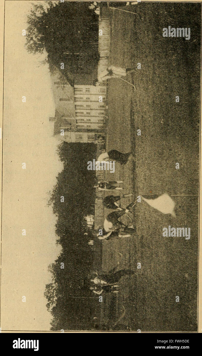Les jeux de balle de hockey sur gazon, tether, squash ball, golf-croquet (1900) Banque D'Images