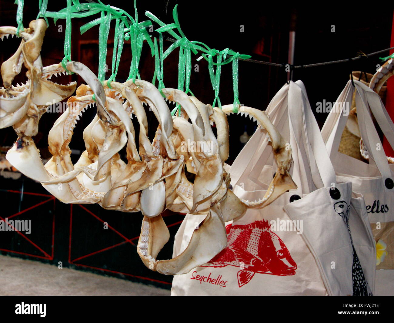 Souvenirs des Seychelles. Mâchoires de requin. Souvenirs de l'île de Mahé marché. Banque D'Images