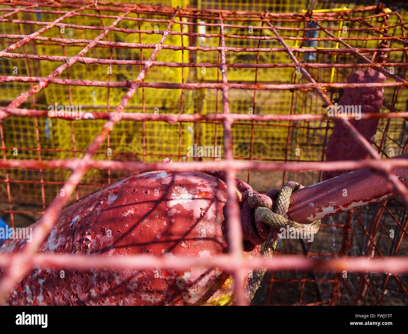 Une vieille bouée avec un peu de corde nouée autour d'elle entourée de cages métalliques. Banque D'Images