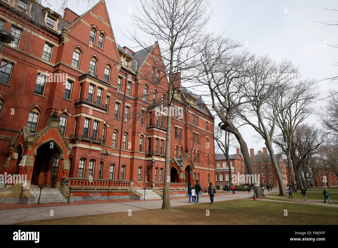 L'Université de Harvard, Cambridge, Massachusetts Banque D'Images