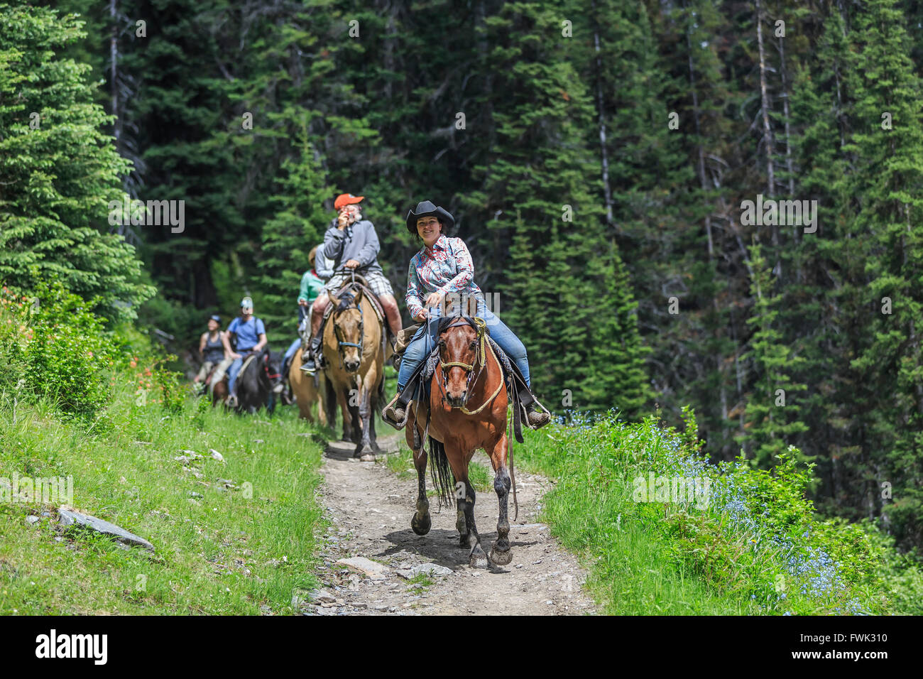Cavaliers sur un sentier de randonnée, l'arrière-pays du parc national Banff, Alberta, Canada. Banque D'Images