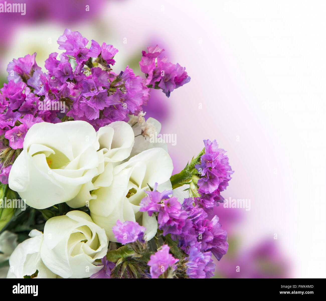 Bouquet de roses blanches avec fleurs violettes Banque de photographies et  d'images à haute résolution - Alamy