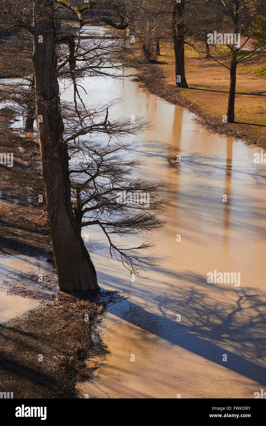 Rivière de tournesol à Clarksdale, Mississippi, États-Unis Banque D'Images