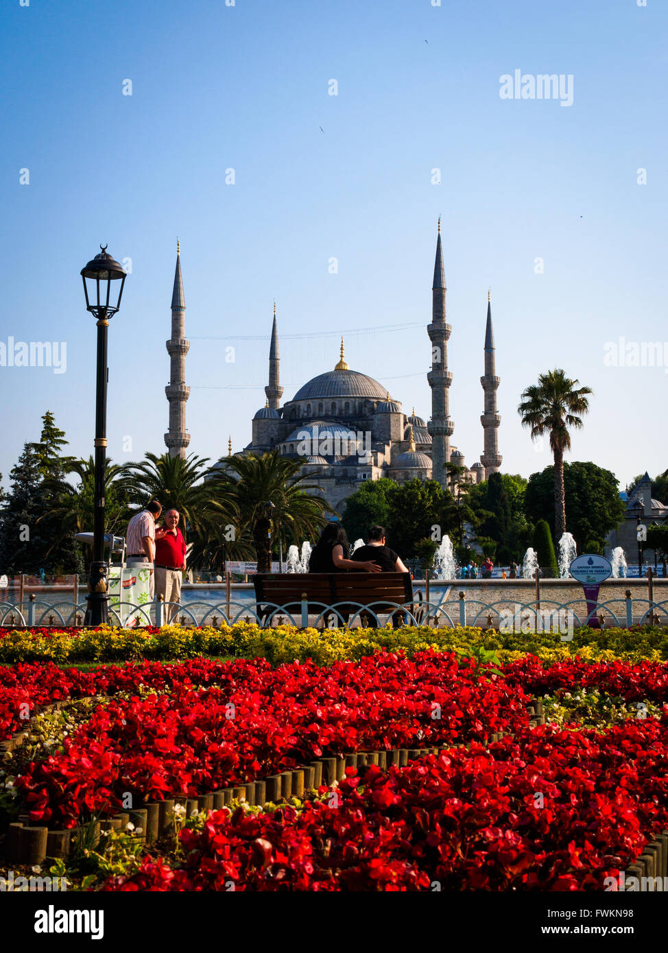 Vue sur jardin de fleurs rouges et jaunes dans Sultanahmet Park à célèbre Mosquée bleue (mosquée Sultan Ahmed) à Istanbul, Turquie Banque D'Images