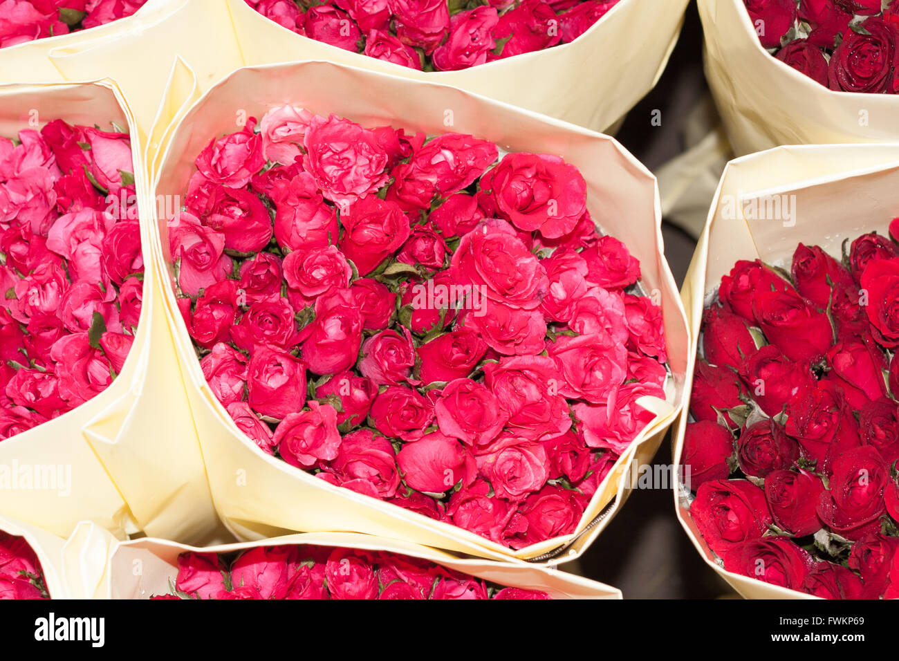 Roses Pak Khlong Talat marché aux fleurs, Bangkok, Thaïlande Banque D'Images