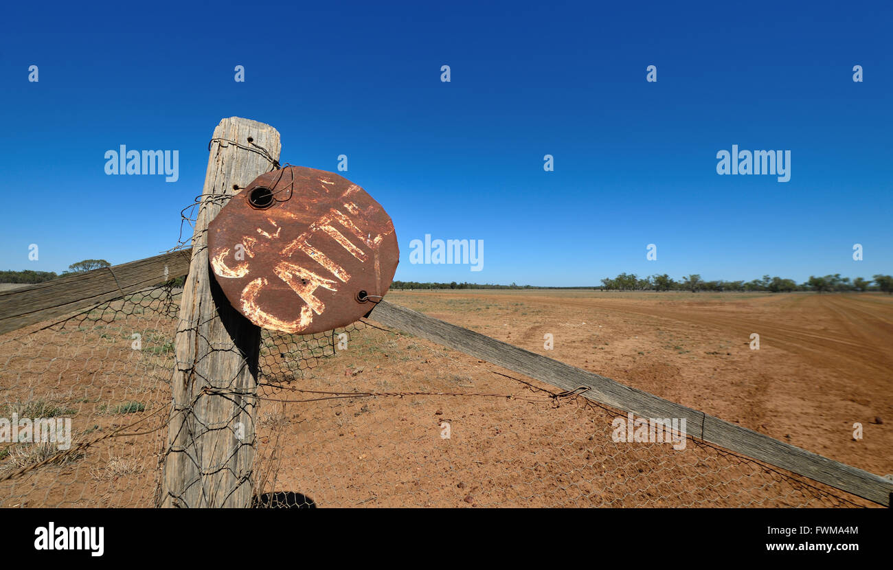 L'Avertissement des bovins signe fait du haut d'un tambour à huile câblé à une clôture sur une route de l'Australie de l'outback. Banque D'Images