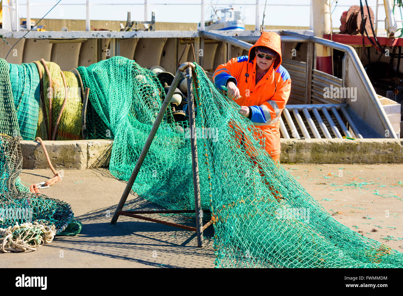 Simrishamn, Suède - 1 Avril 2016 : Fisherman mending à quai sur son livre vert filets de pêche. Des personnes réelles dans la vie quotidienne. Banque D'Images