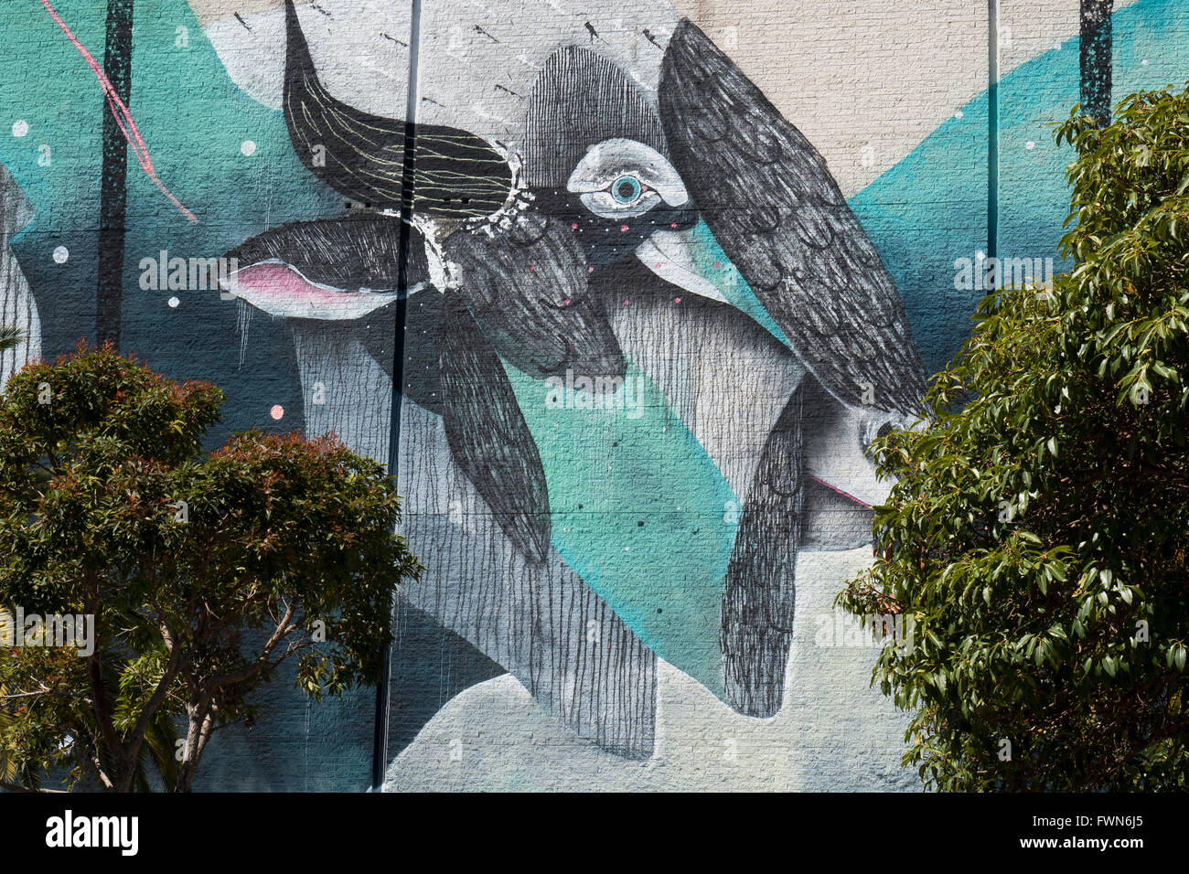 Peinture murale d'oiseau sur mur, Freemantle, Australie occidentale. Une partie de l'art public Feemantle 2015 Banque D'Images