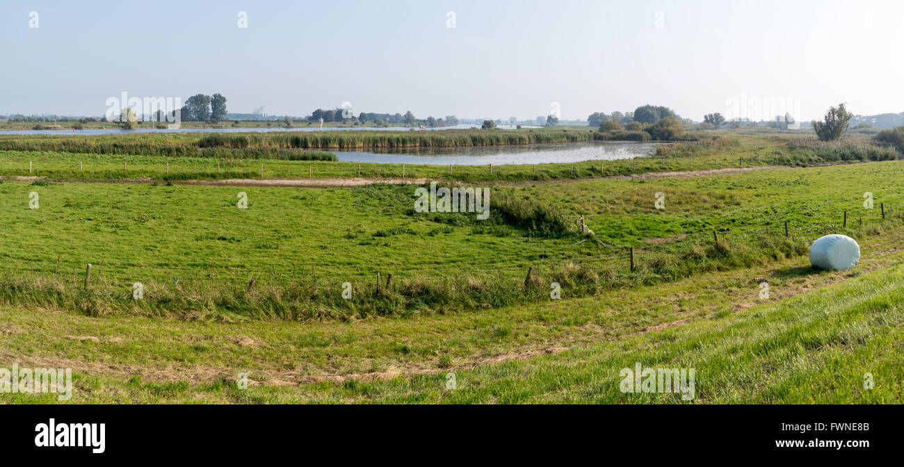 Panorama de la rivière IJssel river meadows b&b à l'automne, Gueldre, Pays-Bas Banque D'Images