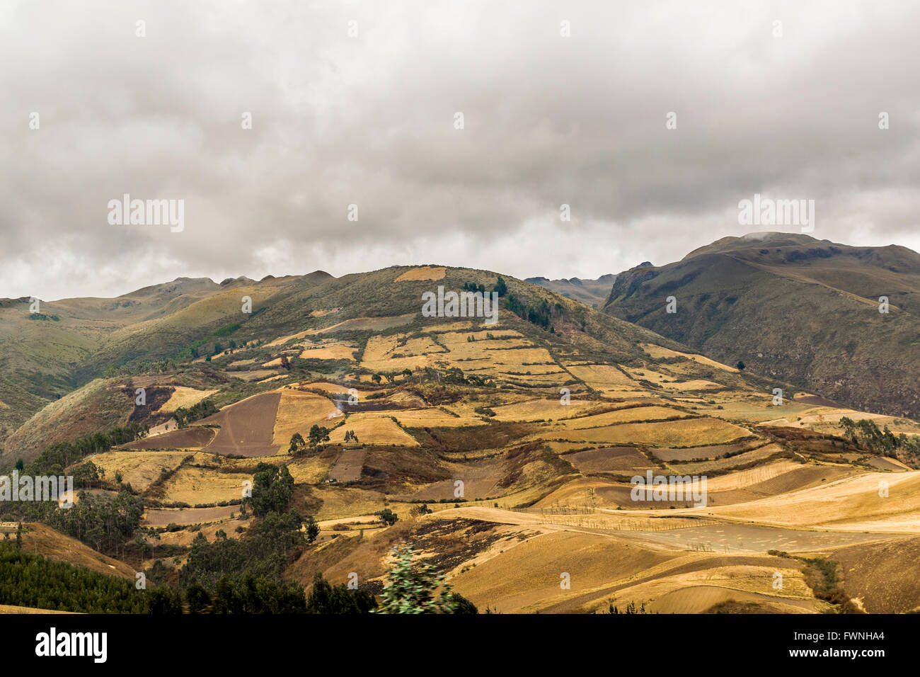 Beau paysage sur la montagne dans la route que l'extérieur de Quito vers le lac San Pablo en Equateur, Amérique du Sud Banque D'Images