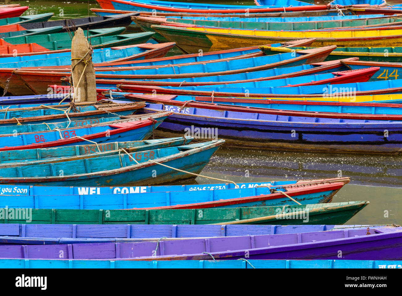 Bateaux colorés sur le Lac Phewa à Pokhara, Népal Banque D'Images