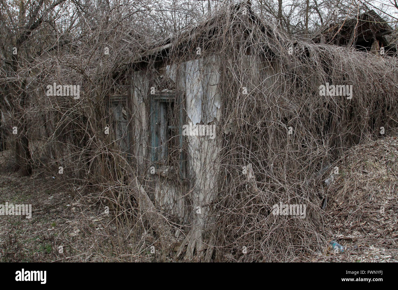 Une photo prise le 28 mars 2011 montre maison abandonnée dans la ville de Tchernobyl, à 9 km de la centrale nucléaire de Tchernobyl. Après l'explosion à la centrale nucléaire de Tchernobyl, 30 km de la zone d'exclusion a été créé autour du site. L'ensemble de ces zones sont désertes et entouré par des points de contrôle. Mar 28, 2011. © Michel Stepanov/ZUMA/Alamy Fil Live News Banque D'Images
