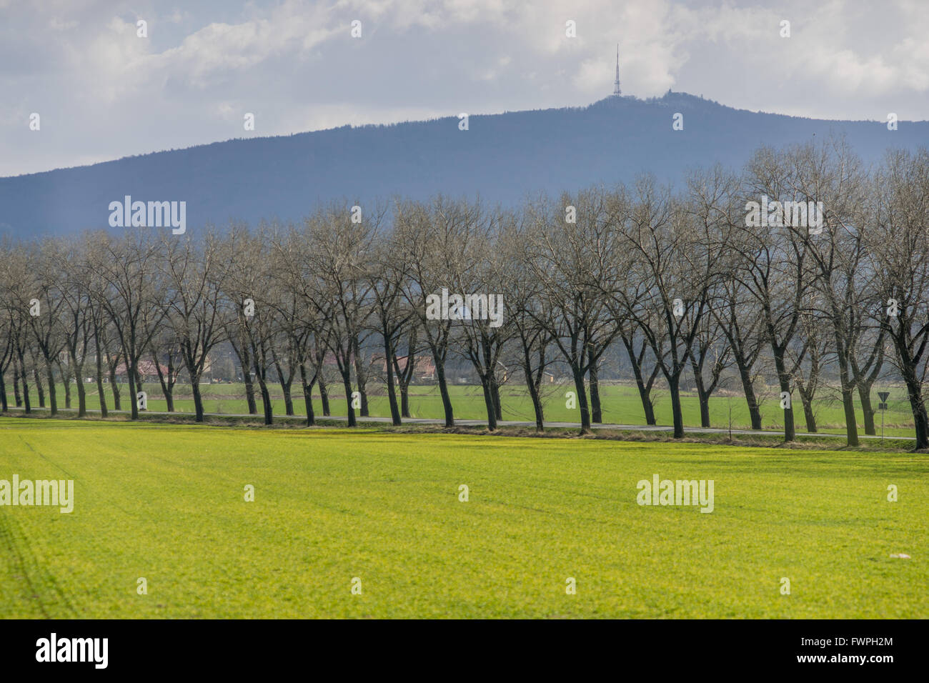 Mont Sleza avec ciel de printemps ensoleillé,champs verts,route bordée par les peupliers Basse Silésie Zobtenberg Nieder Schlesien Banque D'Images