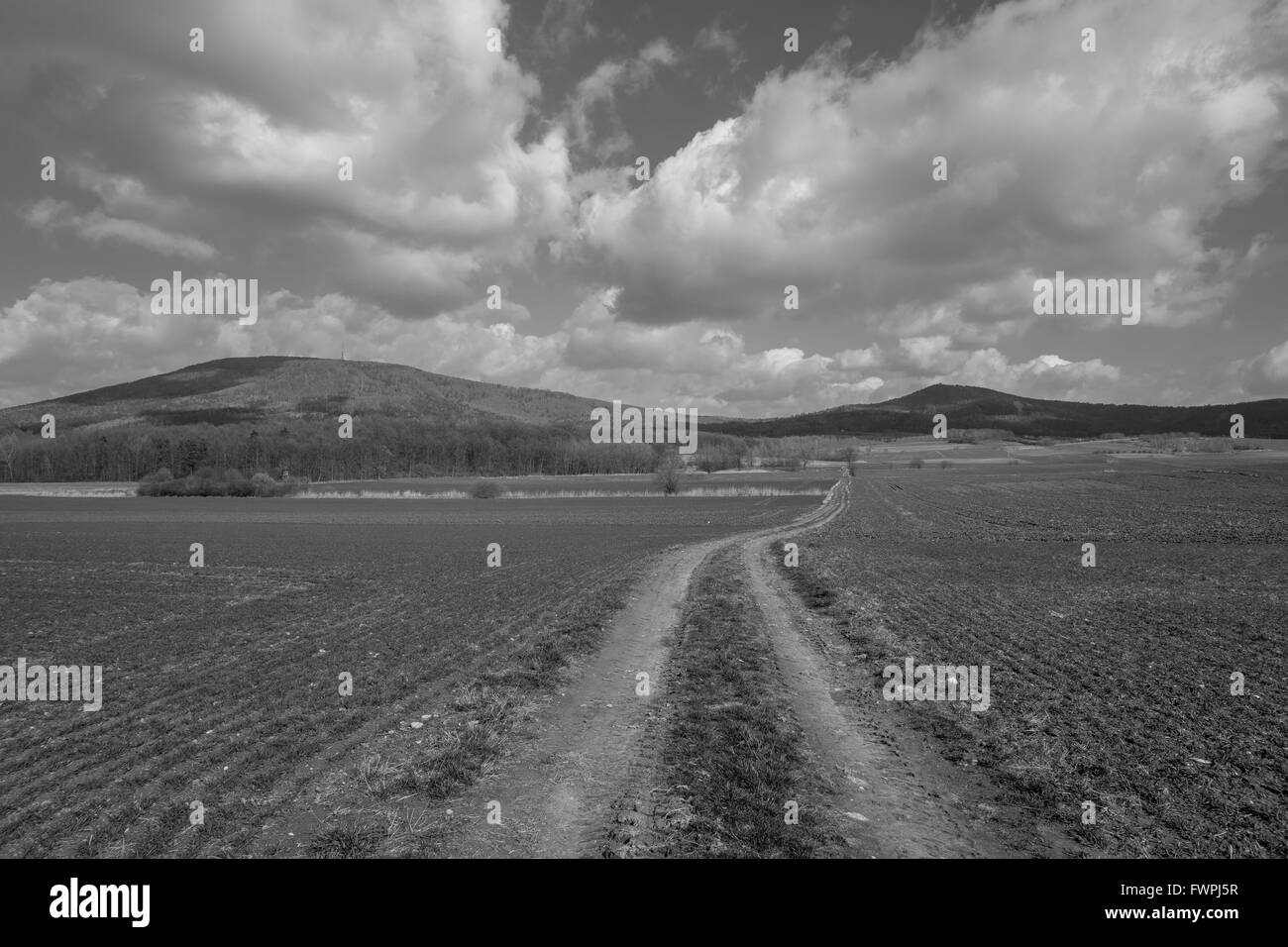 Mont Sleza et Mont Radunia avec ciel de printemps ensoleillé,champs verts et chemin de terre basse Silésie Nieder Schlesien Banque D'Images