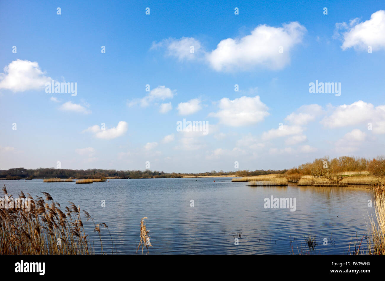 Vue de Rockland large sur les Norfolk Broads à Rockland St Mary, Norfolk, Angleterre, Royaume-Uni. Banque D'Images