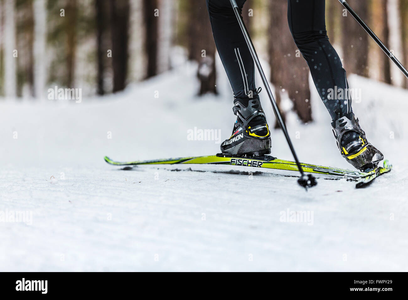 Kyshtym, Russie - le 26 mars 2016 : un monte sur la montagne de l'arrière pendant le championnat de ski de fond Banque D'Images