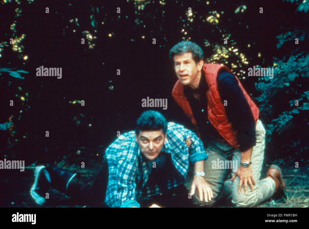Il en Packin, alias : auf und dont !, Kinofilm, USA 1983, Regie : Jud Taylor, acteurs : Richard Benjamin (liens), Tony Roberts Banque D'Images