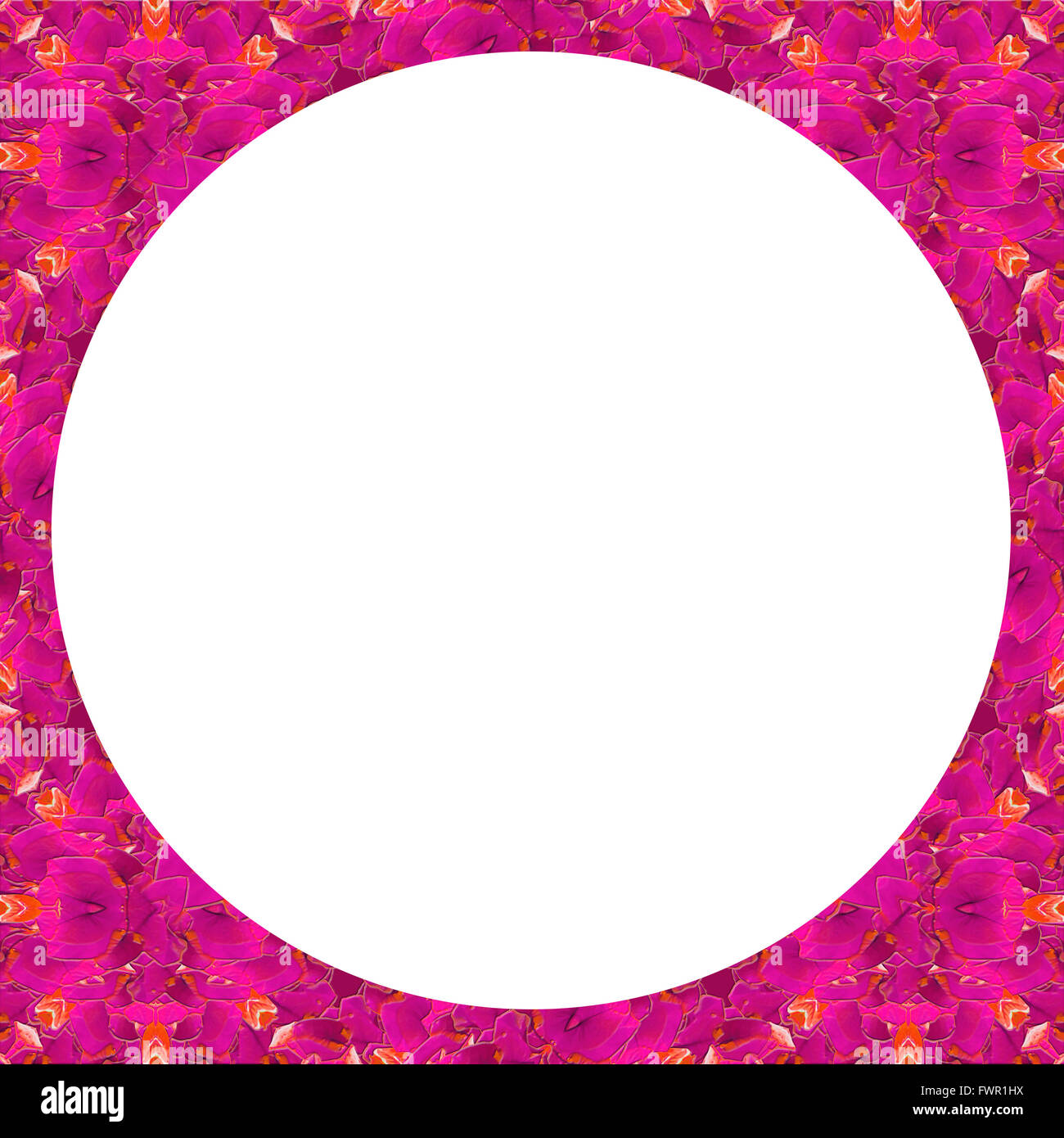Cercle Blanc avec cadre floral stylisé transparent géométrique pattern design, dans des tons rose et orange border Banque D'Images
